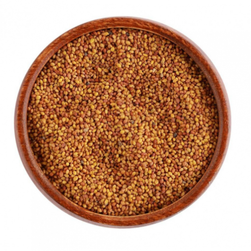 بذر البرسيم 