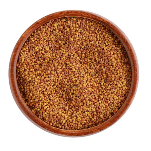 Alfalfa seed