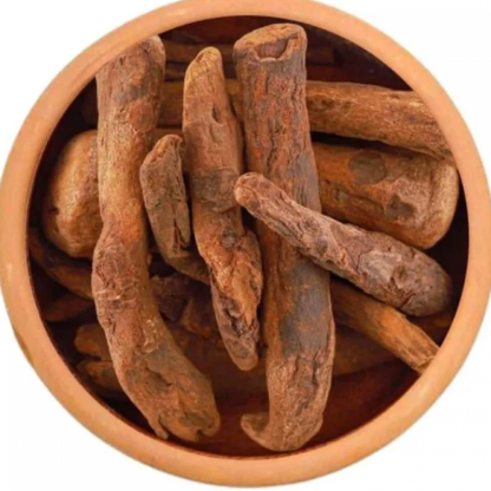 عود الراوند عود الراوند