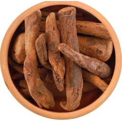 rhubarb stick