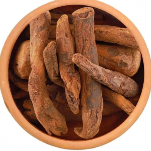 عود الراوند عود الراوند