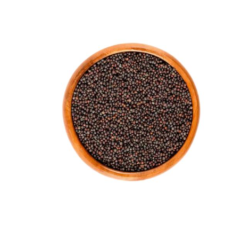 Rapeseed