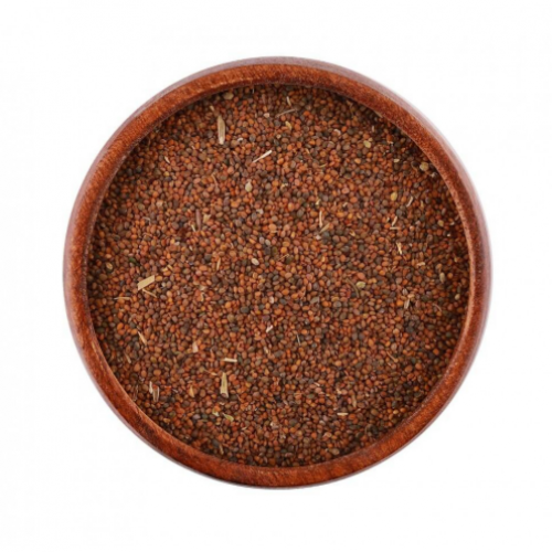 عشبة بذر جرجير 