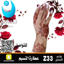 Emirati inscription number Z33