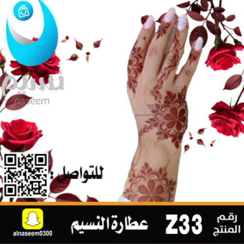 Emirati inscription number Z33
