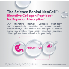 بودرة كولاجين  200 جرام - نيوسيل