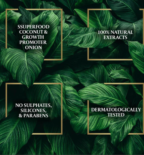 باراشوت زيت جوز الهند للشعر الغني بالبصل - 300 مل باراشوت زيت جوز الهند للشعر الغني بالبصل - 300 مل