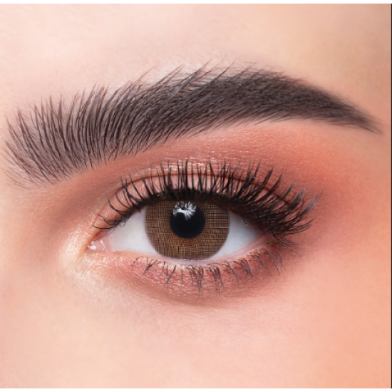 عدسات الذهب اليوميه _رقم 14 كت اي 