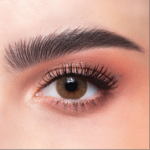 عدسات الذهب اليوميه رقم 21 | كراميل عدسات الذهب اليوميه رقم 21 | كراميل