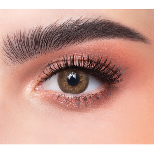 عدسات يومية من ذهب كاف 41 عدسات يومية من ذهب كاف 41