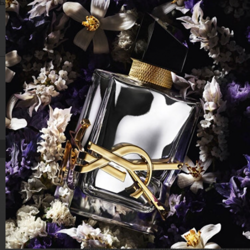 عطر اف سان لوران ليبر لابسولو بلاتين بارفيوم 90 ملي عطر اف سان لوران ليبر لابسولو بلاتين بارفيوم 90 ملي