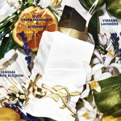 عطر اف سان لوران ليبر لو نوي للسيدات 90 مل Libre L’Eau Nue عطر اف سان لوران ليبر لو نوي للسيدات 90 مل Libre L’Eau Nue