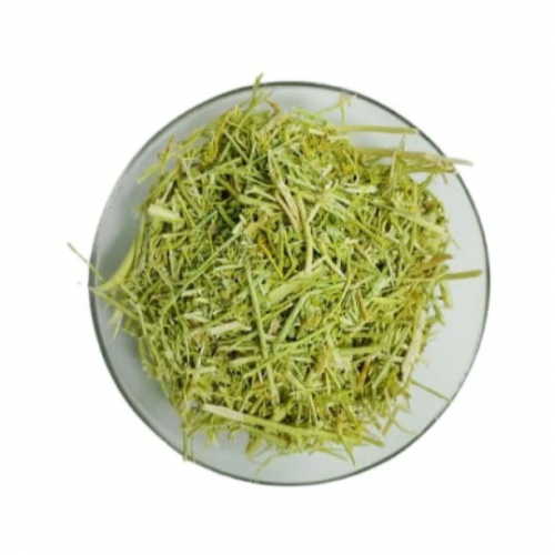 عشبة المدينه 