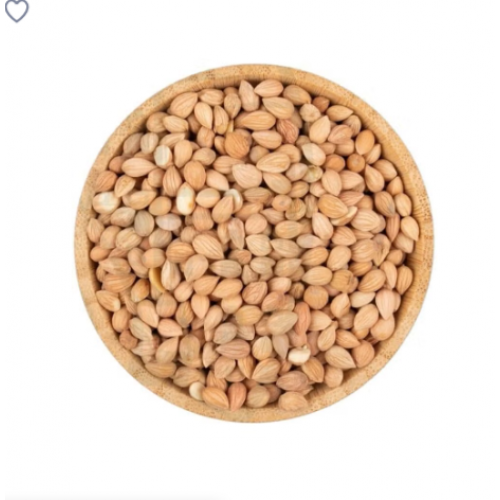 محلب حب محلب حب