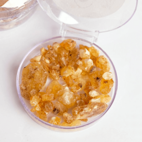 علك مستيكا علك مستيكا