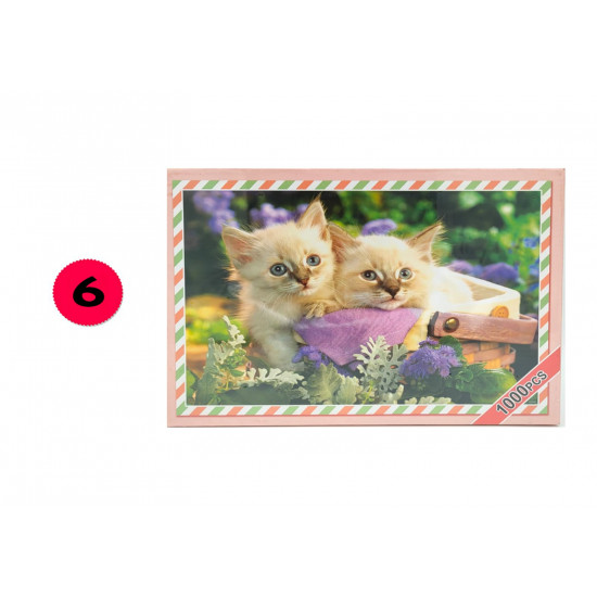 بازل 1000 قطعة