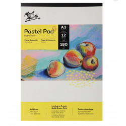 كراسة باستيل من مونت مارت 4 الوان 180 جرام