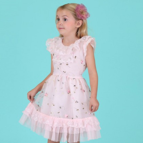 Elegant Soft Pink Embroidered Dress for Girls