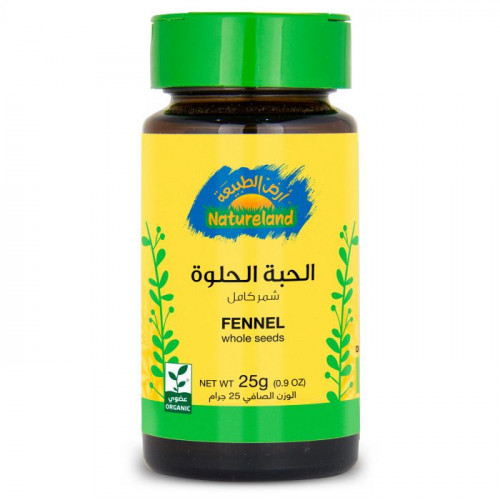 الحبة الحلوة -شمر بذور كاملة 25جم ارض الطبيعة الحبة الحلوة -شمر بذور كاملة 25جم ارض الطبيعة