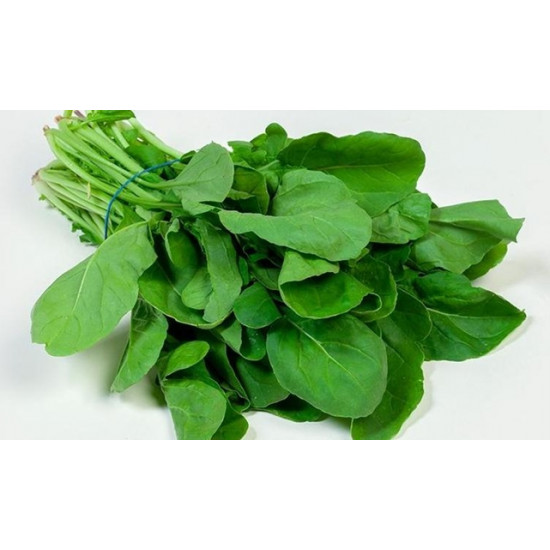 جرجير عضوي ربطة ال طالب جرجير عضوي ربطة ال طالب