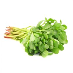 رجلة عضوية ربطة  ال طالب