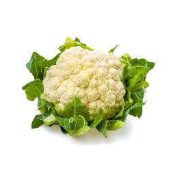 زهرة عضوية ال طالب ( حبه ) 