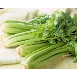  organic celery