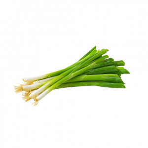 بصل اخضر عضوي ربطة ال طالب
