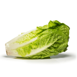 Organic lettuce 400gm