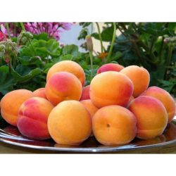 مشمش الوطنية 500جم طبيعي