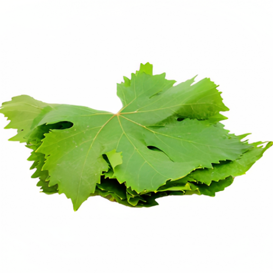 ورق عنب عضوي كرتون 500جم الوطنية ورق عنب عضوي كرتون 500جم الوطنية