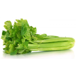 Organic celery ALShahwan Farm