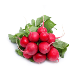 Organic Red Radish Al Shahwan