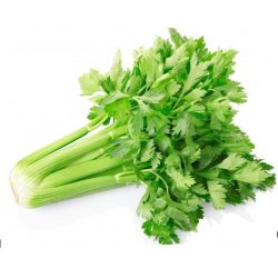 كرفس عضوي مزرعة السلوى