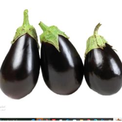 Organic eggplant 1 kg, Al Slwa Farm  