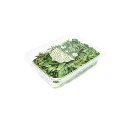 Fresh Organic Basil Salwa Farm