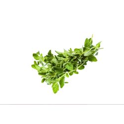 اوريجانو عضوي طازج 100 جرام مزرعة السلوى