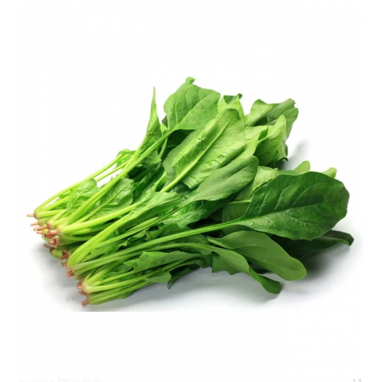 سبانخ طازجة عضوية طبق مزرعة بيت الاستنبات العضوية