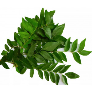 ورق كاري طازج عضوي طبق مزرعة بيت الاستنبات