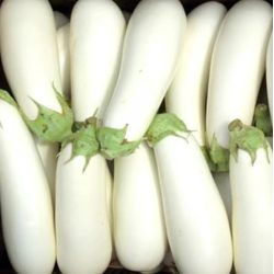 Organic white eggplant 1 kg Al Salwa Organic Farm