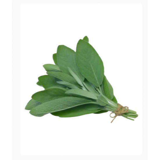 مرامية عضوية طازجة طبق - مزرعة الخير العضوية