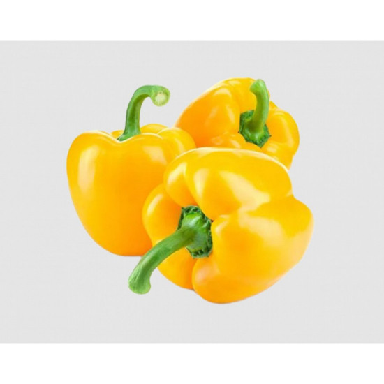 فلفل ملون اصفر 1 كجم كرتون طبيعي الوطنية فلفل ملون اصفر 1 كجم كرتون طبيعي الوطنية