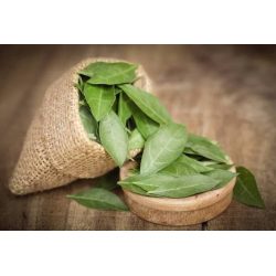 Fresh Organic Henna Leaves Organic Farm Dish