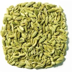 Dried fennel from the organic greenhouse farm