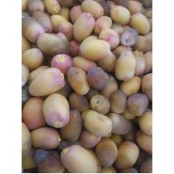 تمر بريمي الوطنية 2كجم