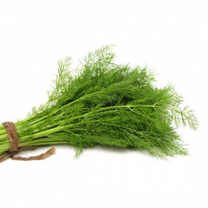 شبت عضوي طبق 200جم مزرعة الغذاء الامن