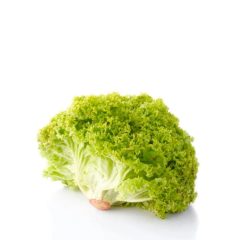 Organic Lulu Bionda Lettuce (Green) 200g Plate Safe Food Farm