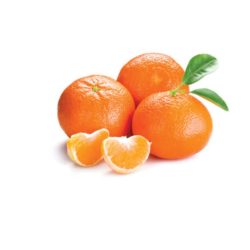 Yousefendi, examined by the Al-Batin Agricultural Cooperative