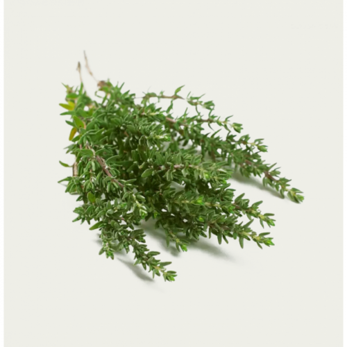 زعتر بري عضوي طازج 100 جم مزرعة طويق العضوية زعتر بري عضوي طازج 100 جم مزرعة طويق العضوية