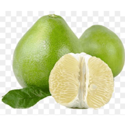 جريب فروت طبق  مزرعة السلوى